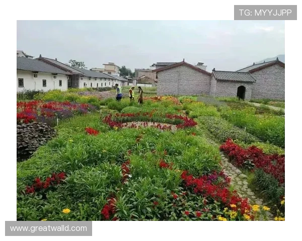 《鲜花盛开的村庄》：一曲乡村振兴的赞歌，一幅温情动人的画卷
