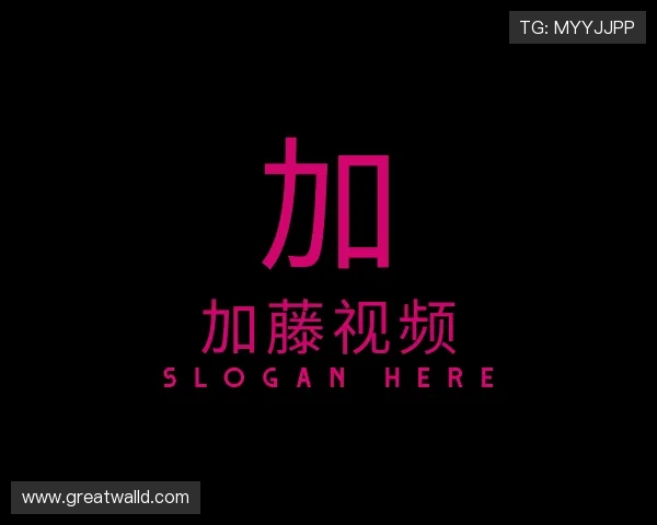 解读加藤视频